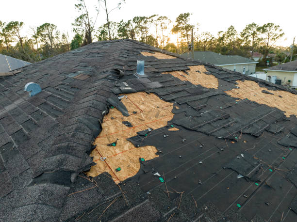 Best Roof Coating and Sealing  in Conroe, TX